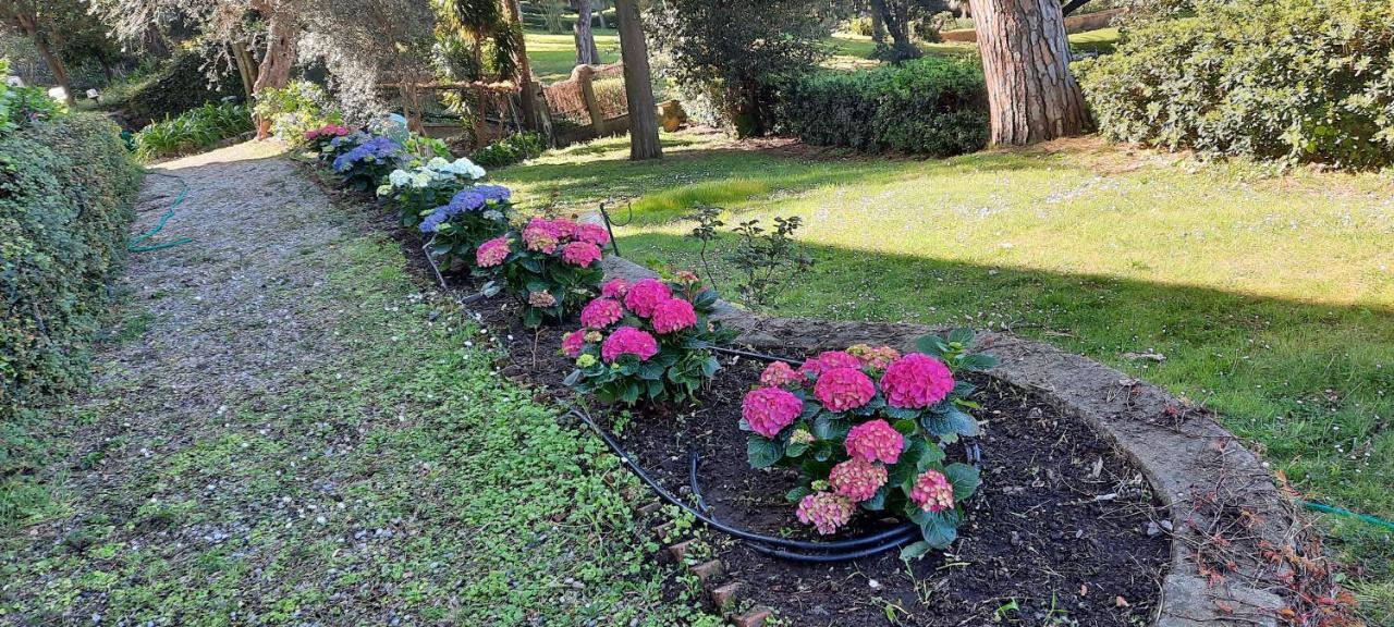 Villa Tramonto Levanto Bagian luar foto